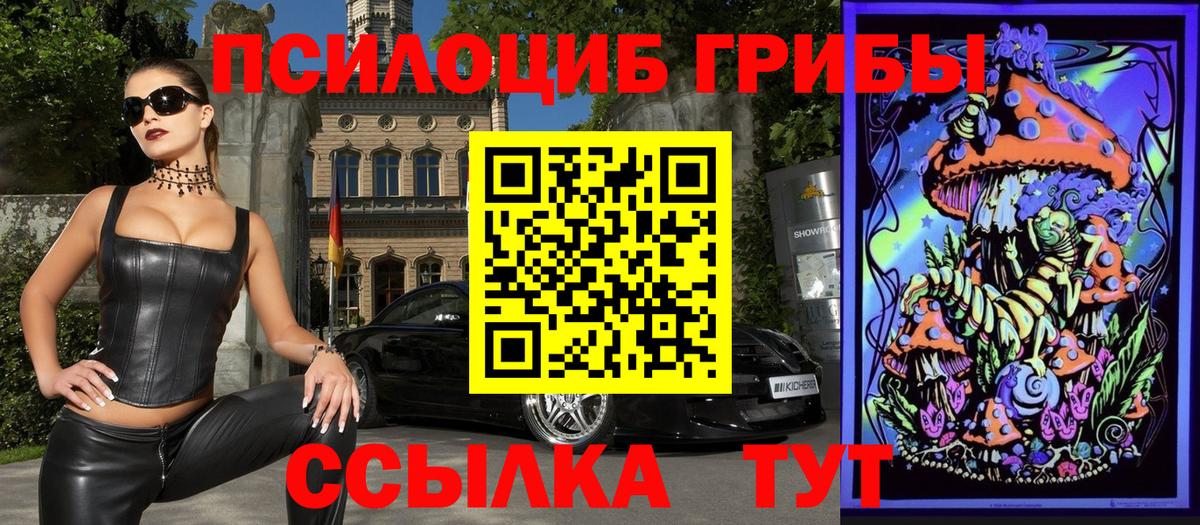 Нягань  Галлюциногенные грибы мицелий  Галлюциногенные грибы Psilocybe  где купить   Вход с VPN 